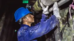 પ્રતીકાત્મક તસવીર