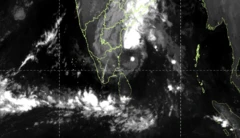 திட்வா புயல், தமிழ்நாடு, இந்தியா, மழை