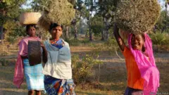 చత్తీస్‌గఢ్ గిరిజనులు