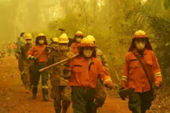 Um grupo de bombeiros chega para extinguir o fogo durante um incêndio florestal no Departamento de Santa Cruz, Bolívia, em 24 de setembro de 2024
