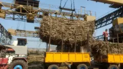कारखाना 