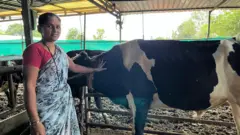 कुसूम साबळे