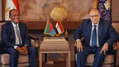 ኣቶ ሓጐስ ገብረሂወት ምስ ሓላፊ ብዓልመዚ መድሃኒታት ግብጺ ዶ/ር ዓሊ ኣል-ጋምራዊ