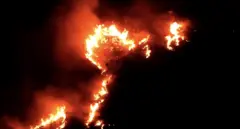 காட்டுத்தீ, தமிழகம்