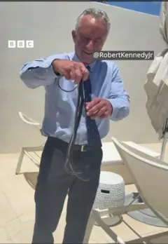 SnakeCatch