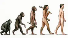 மனிதனின் பரிணாம வளர்ச்சி