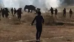 野原の奥にゾウがいて、その近くで多くの人が走るなどしている。逆光のせいかゾウも人もシルエットのように黒くなっている