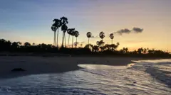 කාර්යබහුල හා  ඒකාකාරී ජීවිතයට විවේකය යනු අත්‍යවශ්‍යම දෙයකි.