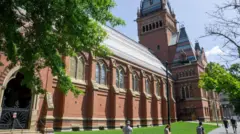 Universidade de Harvard.