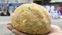 తిరుమల లడ్డూ, కల్తీ నెయ్యి