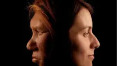 Neanderthals
