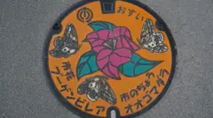 Tampa de bueiro japonesa, com pinturas