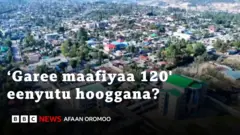 Waa'ee garee 'maafiyaa 120' jedhamanii