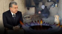 Ўзбекистон қишга қандай тайёргарлик кўрмоқда?