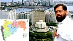 प्रातिनिधीक फोटो 