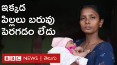 పోషకాహారం
