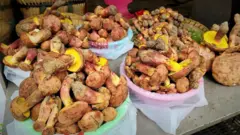 Vários pratos com cogumelos grandes, marrons, amarelos e vermelhos empilhados