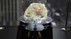 Diyaamandii Seraaliyoonitti ijoollee laama argatan, dolaara miliyoona 6.5tti gurgurame