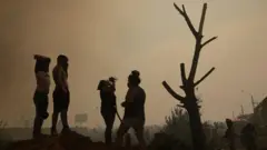 Los residentes ayudan a los bomberos durante un incendio forestal en los cerros de Quilpué, en Viña del Mar.