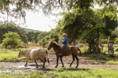 Campesino en Nicaragua