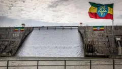 Hidha Guddicha Haaroomsa Itoophiyaa 