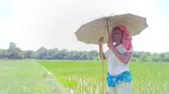 सुक्खा मधेशमा घामबाट बच्न छाता ओढिरहेका किसान