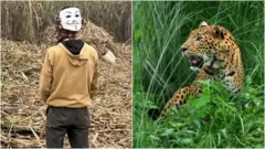 leopard