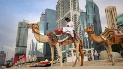 ሰማይ ጠቀስ ሕንጻዎች ከጀርባቸው የሚታዩ ግመሎች