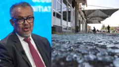 Daarektara Dhaabbata Fayyaa Addunyaa Dr Teedroos Adihaanoom 