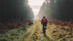 ਸਿਹਤਮੰਦ ਜੀਵਨ 