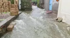 પ્રતીકાત્મક તસવીર
