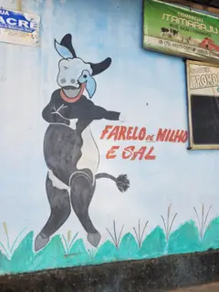 Vaca colorida ao lado dos dizeres "Farelo de milho e sal", fotografada em Itamaraju, na Bahia