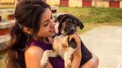 நாய்கள்