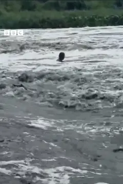 River