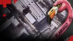 З початку 2026 року Генштаб ЗСУ повідомив про три удари потужними ракетами "Фламінго" по російській території. Останній з них став рекордним за дальністю і точністю ураження. Чи можуть "Фламінго" змінити хід бойових дій?