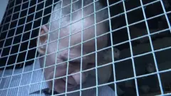 माइकल सलिभान