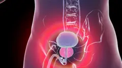 Benign prostatic hyperplasia, illustration