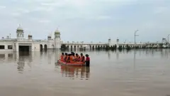 bbc