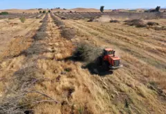 Un campo seco producto de la falta de lluvias