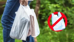 ፕላስቲክ ከረጢት