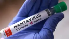 hantavirus