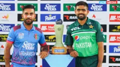 Cricket 