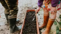 Unos niños preparando una maceta para unas plantas.