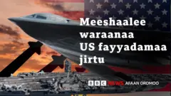 Meeshaalee waraanaa US