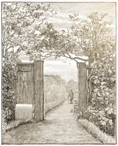 Ilustração de Charles Darwin caminhando por um campo.