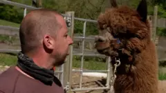 Lama