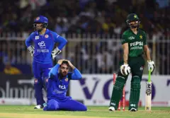 کرېکټ