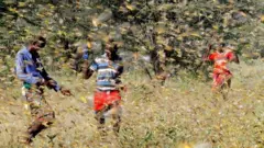 አንበጣ የሚያባርሩ ሰዎች