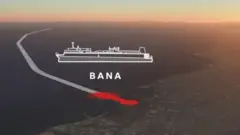 Bana