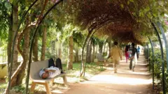 الولاية الهندية التي يشعر سكانها بالرضا والهدوء